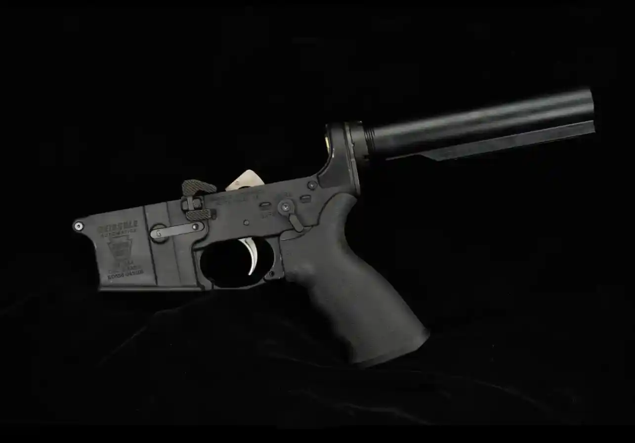 Geissele stripped lower receiver