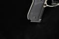 Bersa Thunder 380 Plus .380 ACP Silver in Excellent Condition Image 4