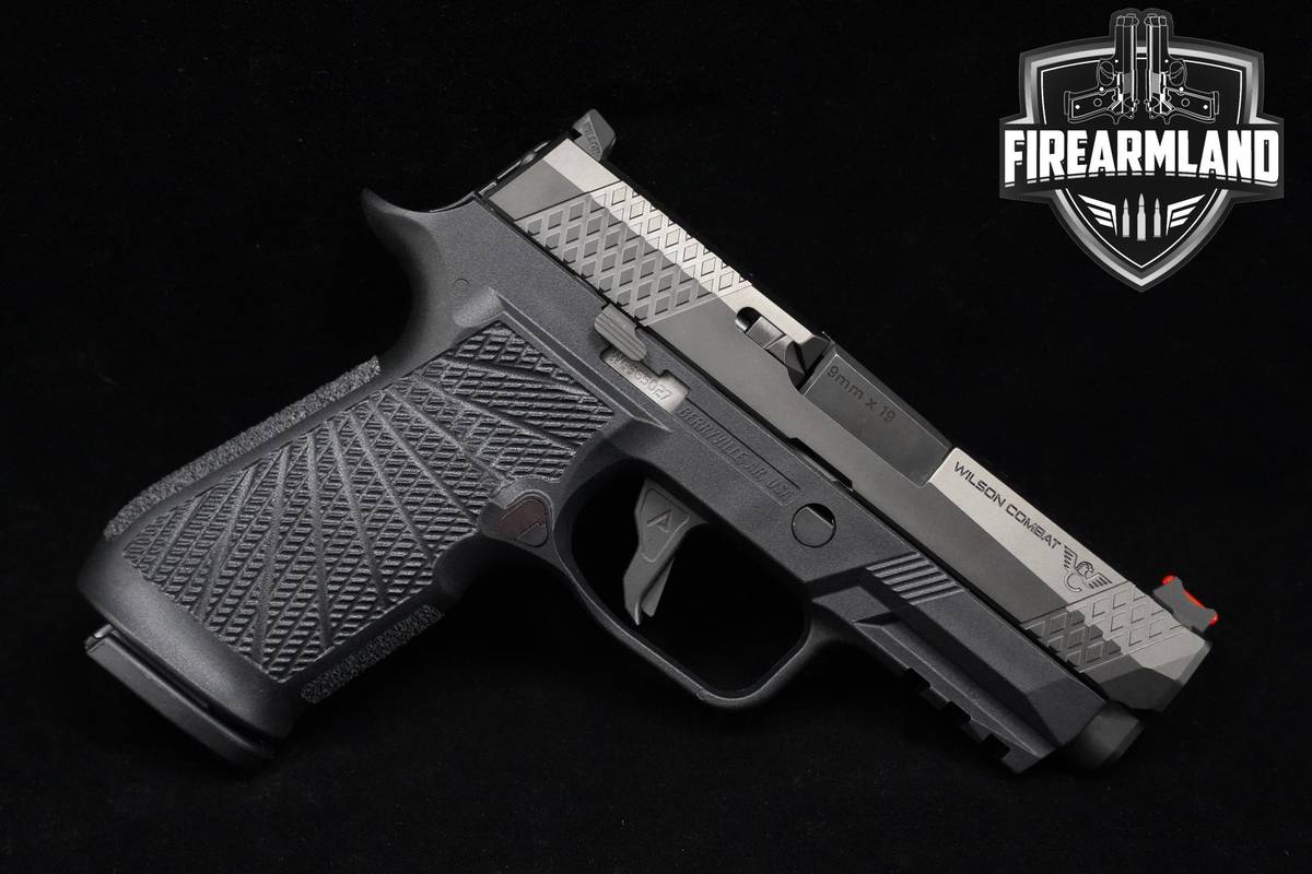 Wilson Combat (WC) P320 Carry 9mm P320-Carry P320-C P-320 2MAGS & ORIG CASE