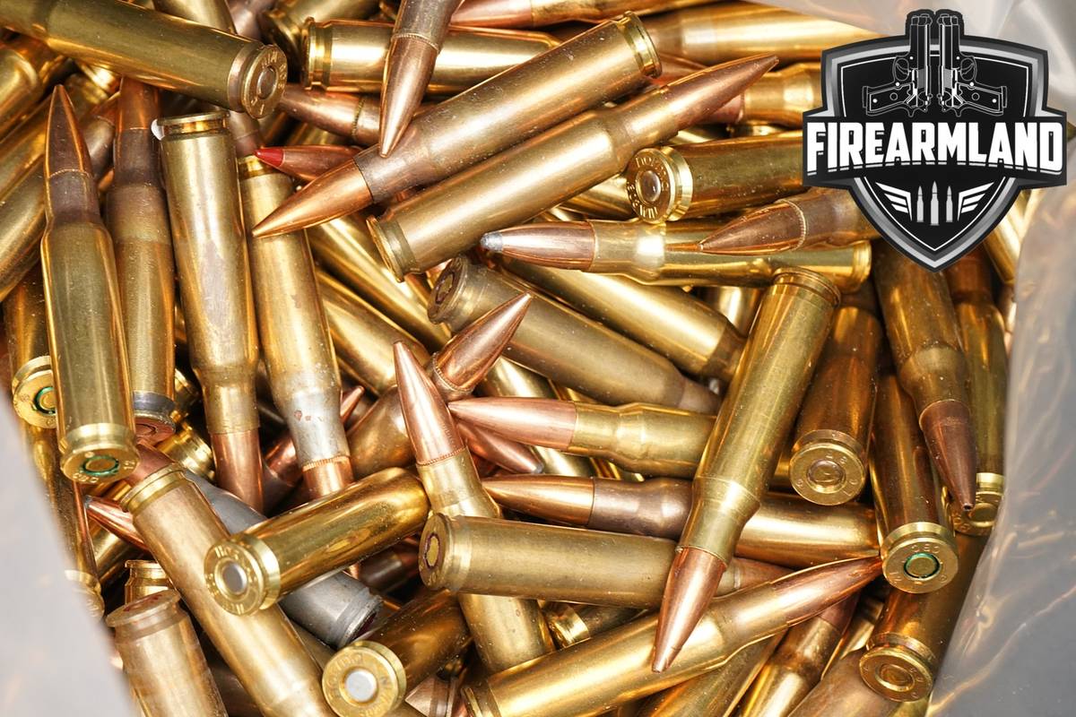 12.5 LBS! LOOSE 308 Winchester Ammo 308Win Ammunition 7.62x51 762