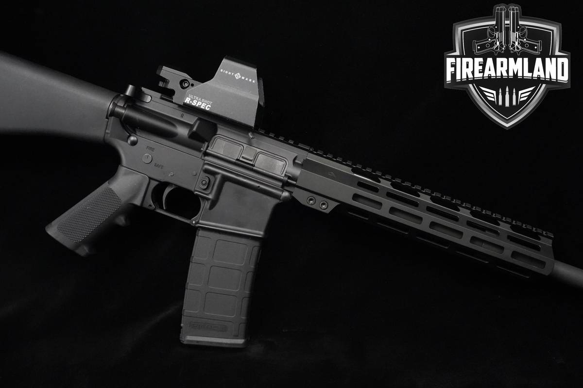 Palmetto State Armory (PSA) PA-15 AR-15 AR15 AR 16" PSA-PA-15 2MAGS & OPTIC
