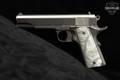 Trabzon Silah Sanayi A.Ş. (TİSAŞ) ZIG M1 9mm Luger Stainless in Excellent Condition Image 3