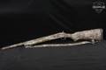 New England Firearms (NEF) Pardner Model SB2 Turkey 10 Gauge Camouflage in Excellent Condition Image 2