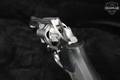 1991 Charter Arms Bulldog .44 Special Silver in Good Condition Image 5