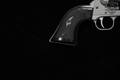 2020 Sturm Ruger Wrangler .22 LR Silver Cerakote in Excellent Condition Image 3