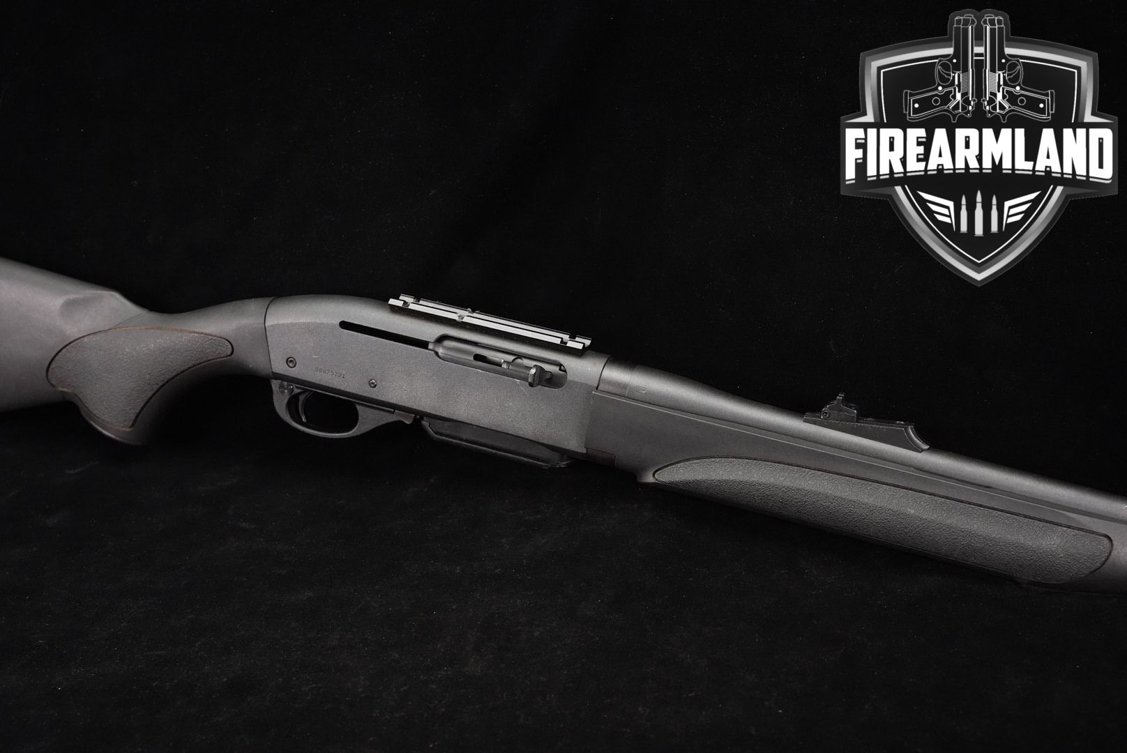Remington Nylon 66 .22 LR 19.5