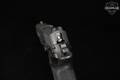 Sig Sauer P229 Legion DA/SA .357 SIG Legion Gray in Good Condition Image 5