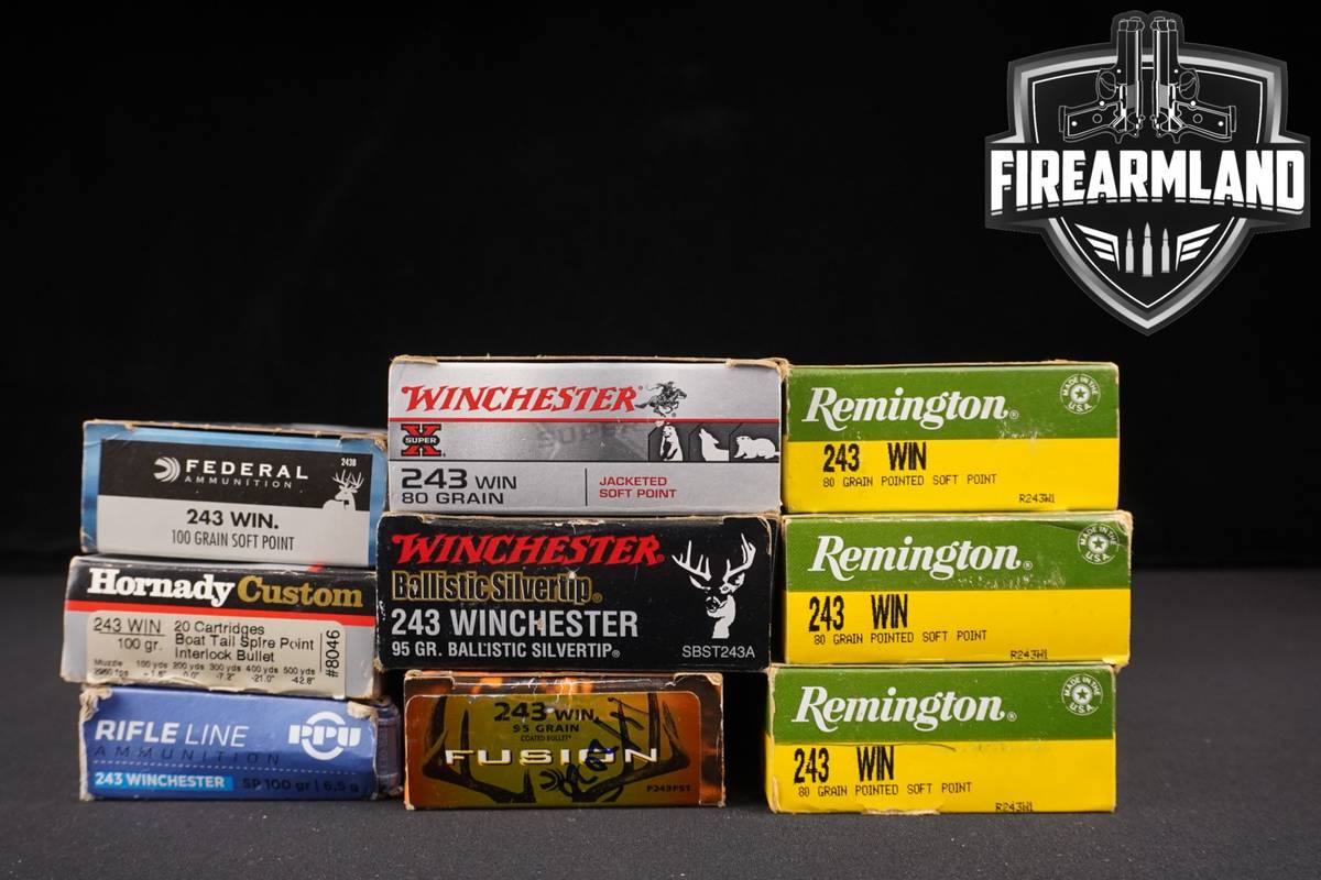 180 RDS! 243 Win Ammo Ammunition
