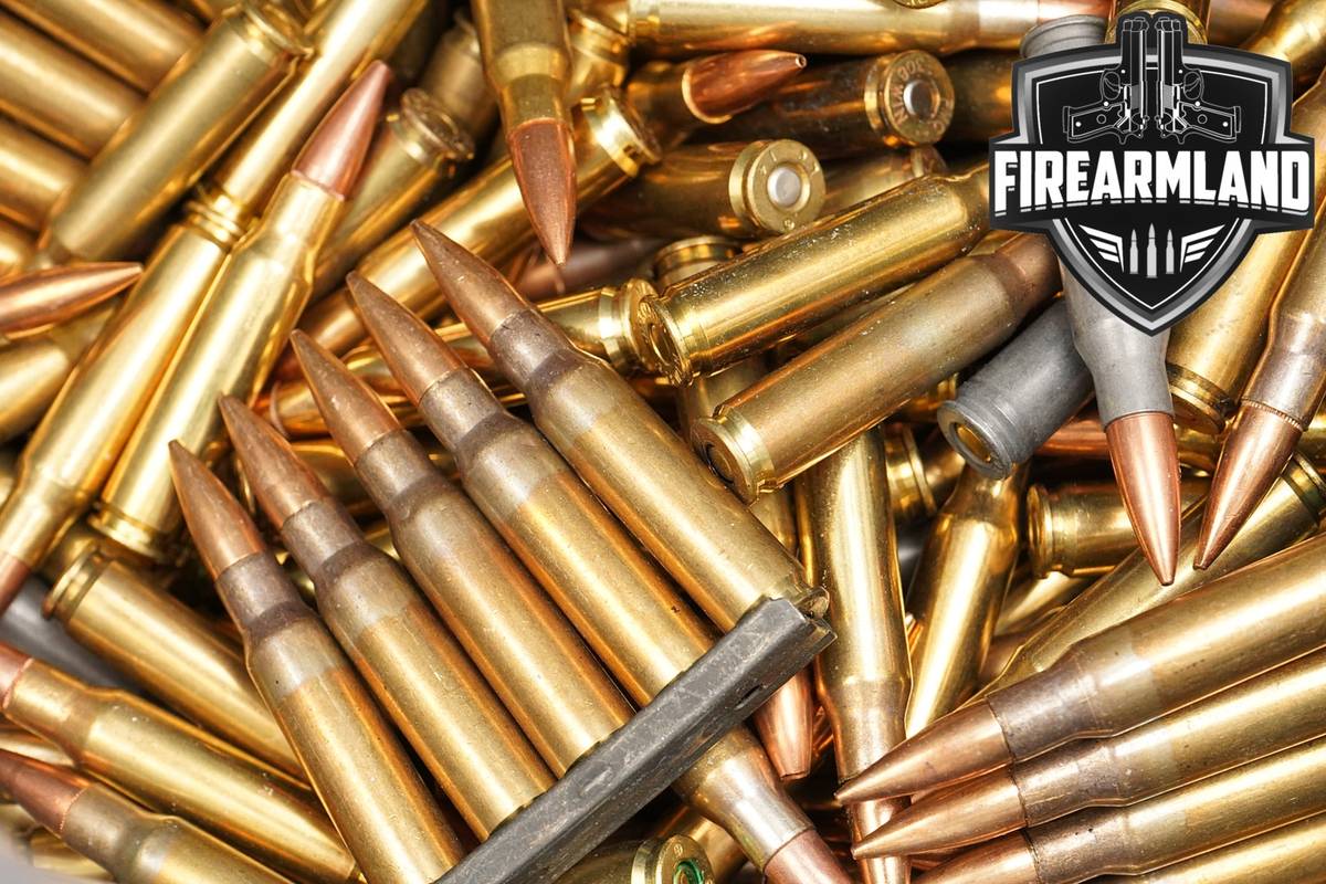 12.5 LBS! LOOSE 308 Winchester Ammo 308Win Ammunition 7.62x51 762