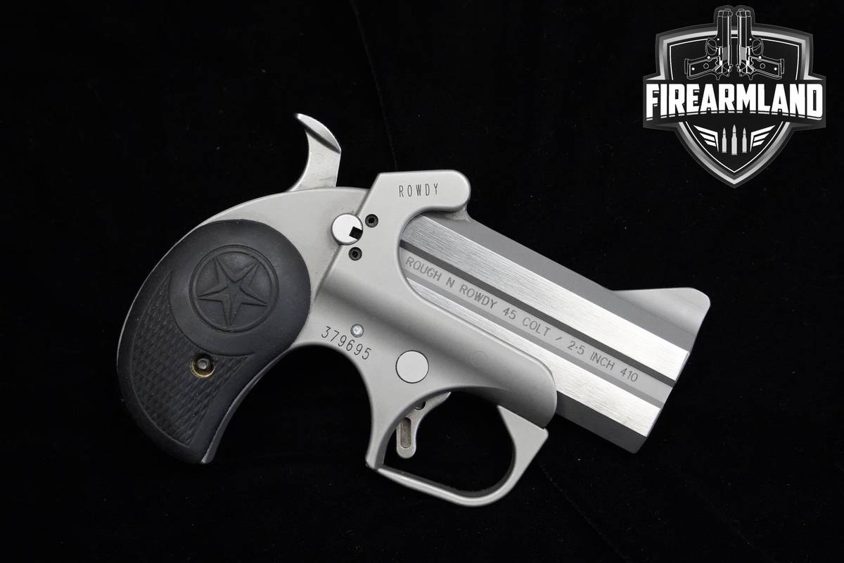 Bond Arms Rowdy 45 LC/410 3" Matte Stainless Bond-Arms Rowdy +ORIG BOX