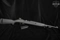 Chiappa Firearms Citadel M1-22 .22 LR Black in Excellent Condition Image 2