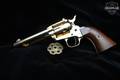 Firearms Import Export (FIE) E15 .22 LR Gold color plating in Excellent Condition Image 2