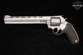 Taurus Raging Hornet .22 Hornet Stainless in Excellent Condition Image 3