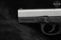 Smith & Wesson (S&W) SW9VE 9mm Luger (9x19 Para) Two-Tone in Excellent Condition Image 5