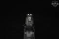 Girsan Witness2311SC Brat .45 ACP Black in Excellent Condition Image 5
