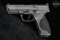 Smith & Wesson (S&W) M&P9 M2.0 Metal 9mm Luger Tungsten Gray in Excellent Condition Image 3