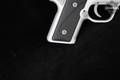 Kimber Solo Carry STS 9mm Luger (9x19 Para) Stainless Steel in Good Condition Image 4