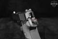 Sig Sauer P220 .45 ACP Nitron in Very Good Condition Image 5