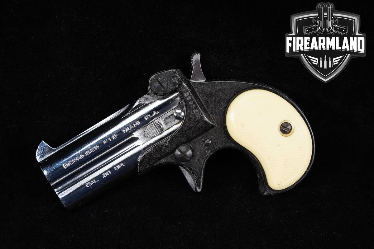 POCKET-CARRY FIE Model D-38 38Spl 3" Two-Tone Derringer Pistol +HOLSTER