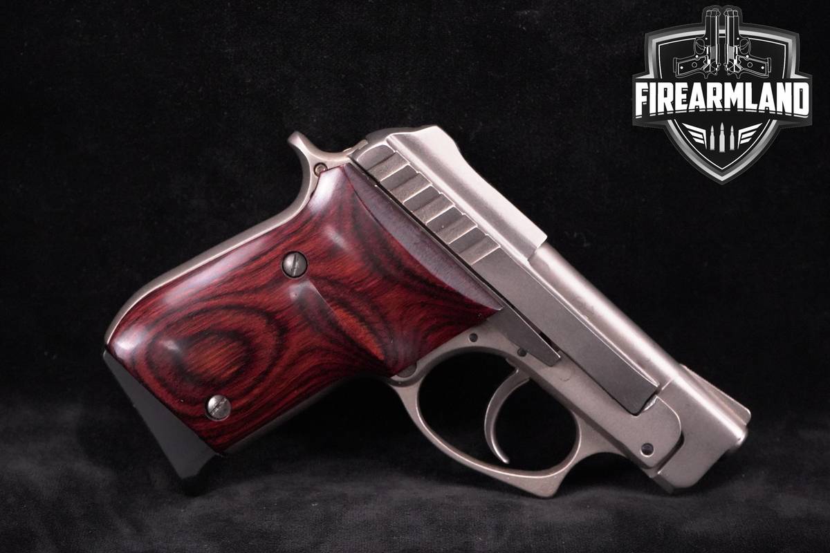 Taurus PT-22 22LR 2.7" Stainless Steel Taurus-PT22 PT-22