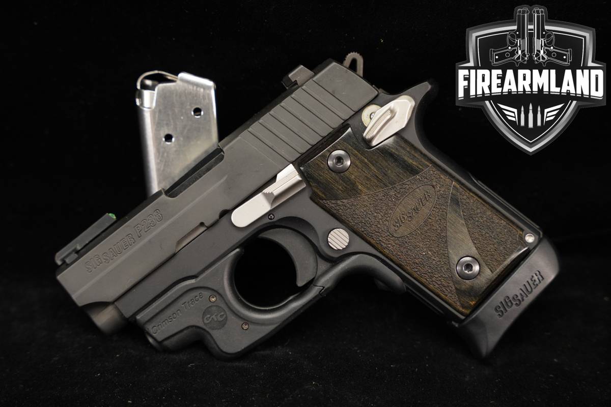 Sig Sauer P238 Two-Tone 380 ACP 2.7" Stainless & Black P-238 +2 MAGS