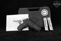 German Sport Guns (GSG) Firefly .22 LR Black in Good Condition Image 2