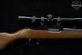 2003 Sturm Ruger Model Ninety-Six .17 HMR Black in Very Good Condition Image 5
