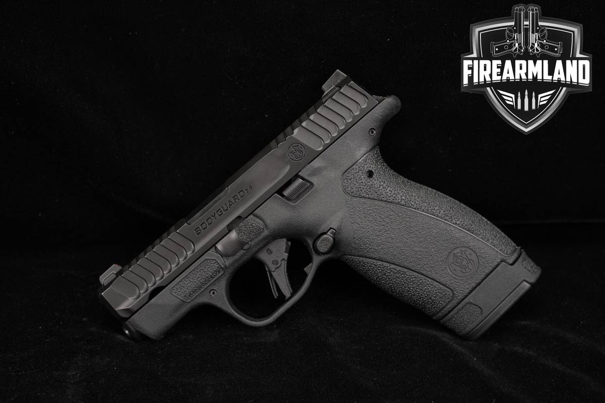 Smith & Wesson Bodyguard 2.0 NTS 380-ACP 2.75" BG380 +2 MAGS