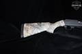 Harrington & Richardson (H&R) Pardner Pump 12 Gauge Blued in Good Condition Image 3