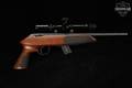 Anschutz Exemplar .22 LR Blued & Walnut in Fair Condition Image 4