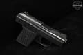 Raven Arms MP-25 .25 ACP (6.35mm) Nickel in Fair Condition Image 2