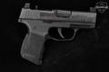 Sig Sauer P365 .380 ACP Black in Excellent Condition Image 3