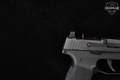 Sig Sauer P365 .380 ACP Black in Excellent Condition Image 5