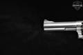 Smith & Wesson (S&W) 686-6 Plus .357 Mag. Stainless Steel in Very Good Condition Image 4