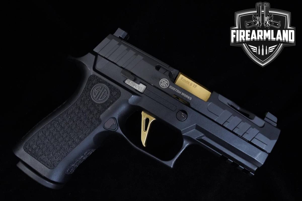 Sig Sauer P320 XCarry Spectre 9mm 3.9" Nitron P320 P-320 2 MAGS & ORIG CASE