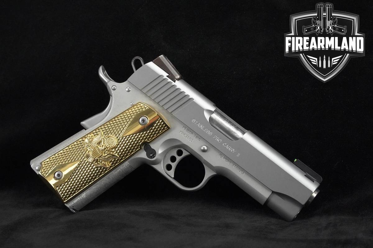 Kimber Stainless Pro Carry II 45 ACP 4" Kimber Pro-Carry-2 PC-II +5 MAGS