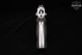 CZ CZ 75 B Stainless 9mm Luger Stainless in Very Good Condition Image 5