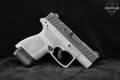 Beretta APX-A1 Carry 9mm Luger Two-Tone in Very Good Condition Image 3