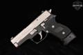 Sig Sauer P245 .45 ACP Two-Tone in Good Condition Image 2