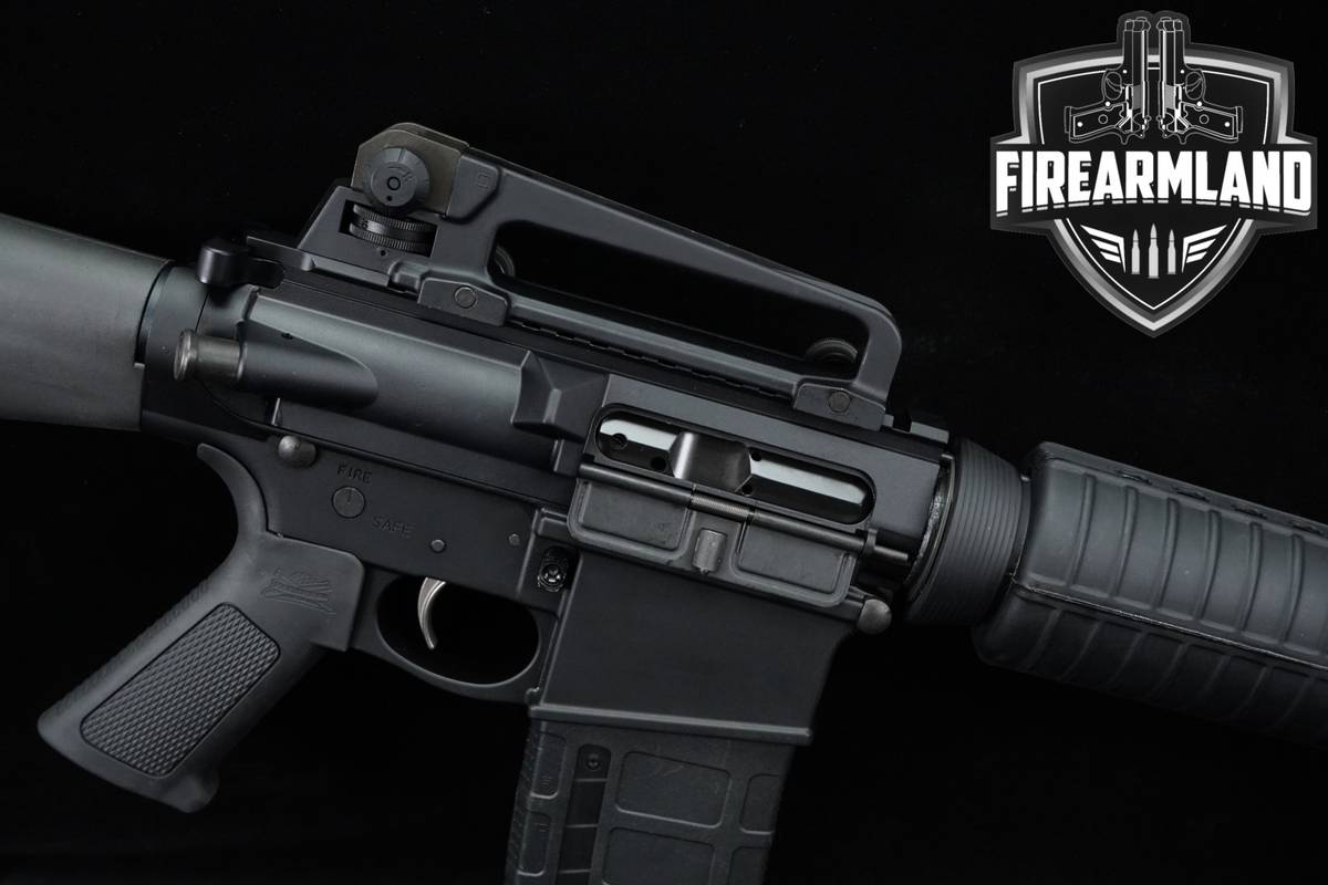 Palmetto State Armory PSA PA-10 Gen 3 Classic A2 308 Winchester AR10 3MAGS