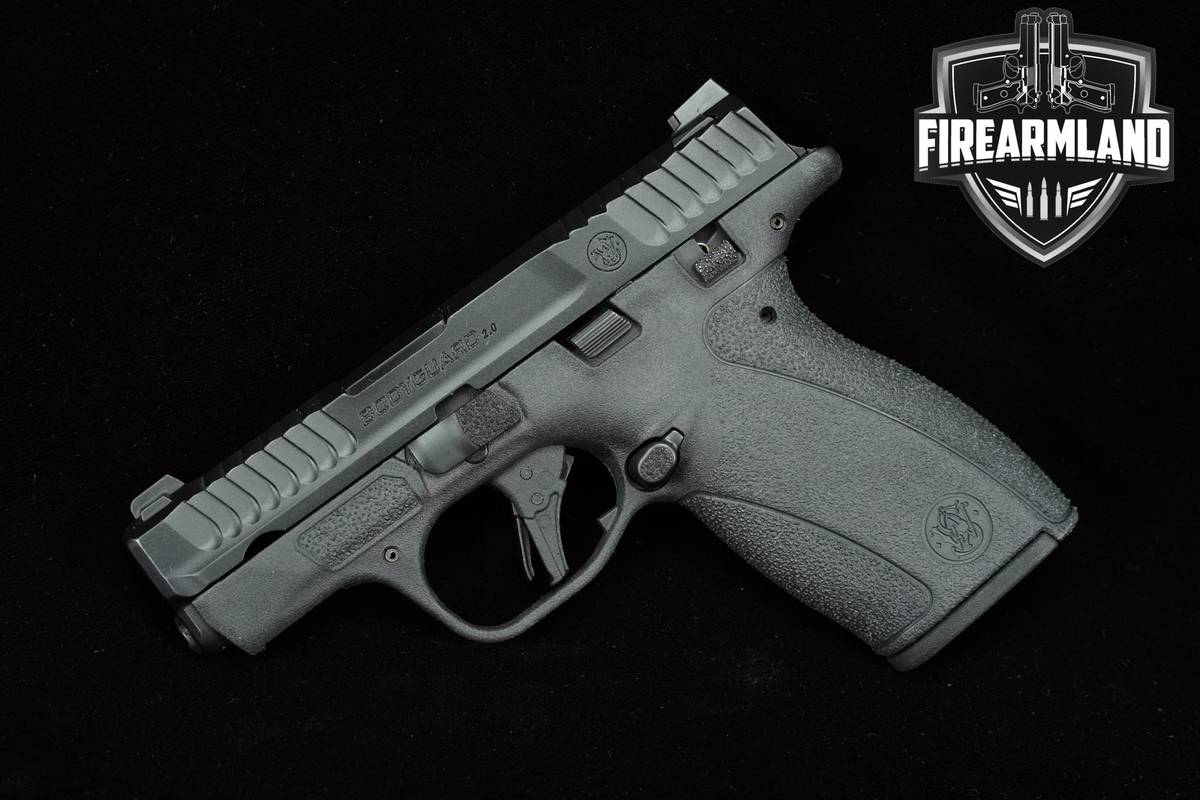 Smith & Wesson S&W Bodyguard 2.0 (NTS) 380 ACP 2.75" Micro-compact
