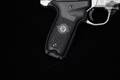 Smith & Wesson (S&W) SW22 Victory .22 LR Matte Stainless in Excellent Condition Image 3