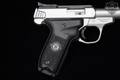Smith & Wesson (S&W) SW22 Victory .22 LR Matte Stainless in Excellent Condition Image 4