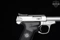Smith & Wesson (S&W) SW22 Victory .22 LR Matte Stainless in Excellent Condition Image 5
