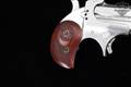 Bond Arms Mini .45 Colt Stainless Steel in Excellent Condition Image 3