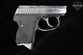 L.W. Seecamp (LW Seecamp) LWS 380 .380 ACP Polished Stainless in Good Condition Image 3