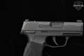 2024 Sig Sauer P365 CA Compliant 9mm Luger Nitron in Very Good Condition Image 5