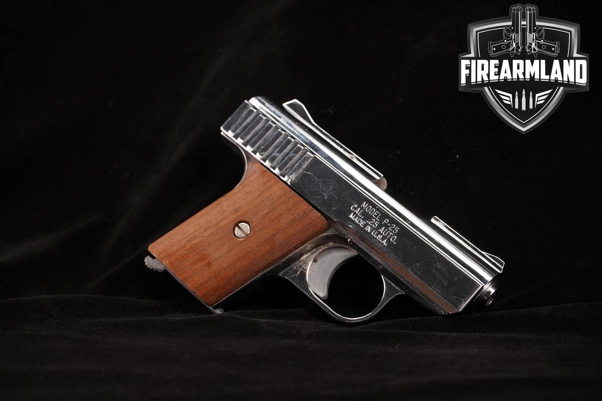 Raven Arms P-25 .25 ACP (6.35mm) 2.4" Chrome P25