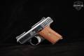 Raven Arms P-25 .25 ACP (6.35mm) Chrome in Very Good Condition Image 3