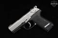 Sturm Ruger P95 9mm Luger Two-Tone in Very Good Condition Image 3
